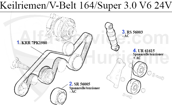 https://www.alfa-service.com/images/categories/164KRR24V.jpg