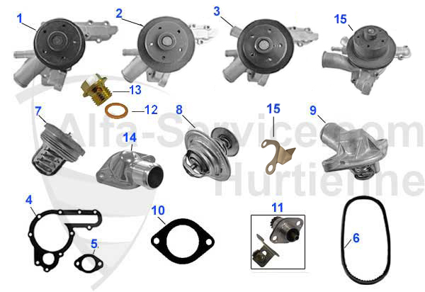 Wasserpumpen/Thermostate