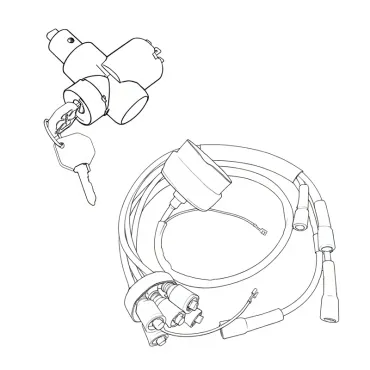 IGNITION SWITCH/LEADS/SPARK PLUGS
