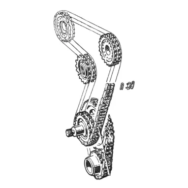 TIMING CHAINS
