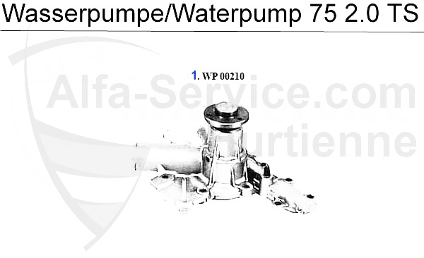 https://www.alfa-service.com/images/categories/7520TSWP.jpg