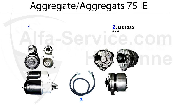https://www.alfa-service.com/images/categories/AGGT75IE.jpg