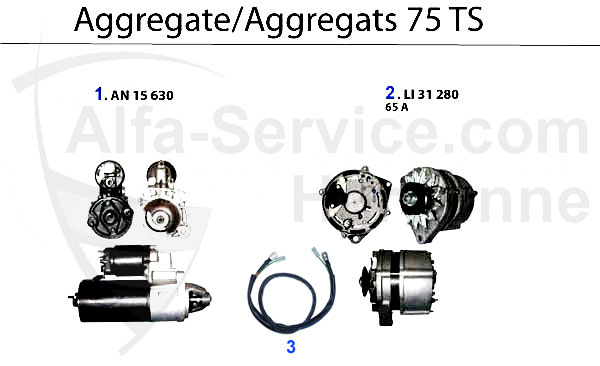 https://www.alfa-service.com/images/categories/AGGT75TS.jpg