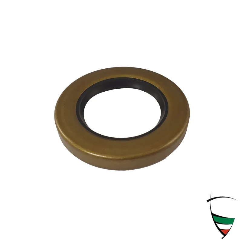 anello paraolio cuscinetto ruota ant. eriore