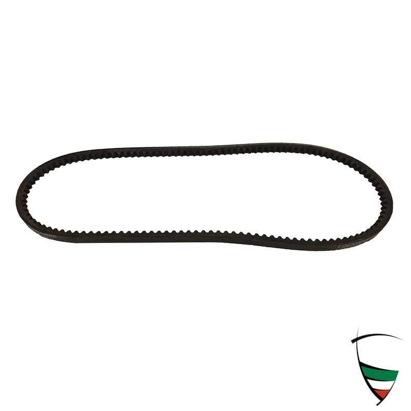 V-BELT 9.5X825 (SPIDER, GT)
