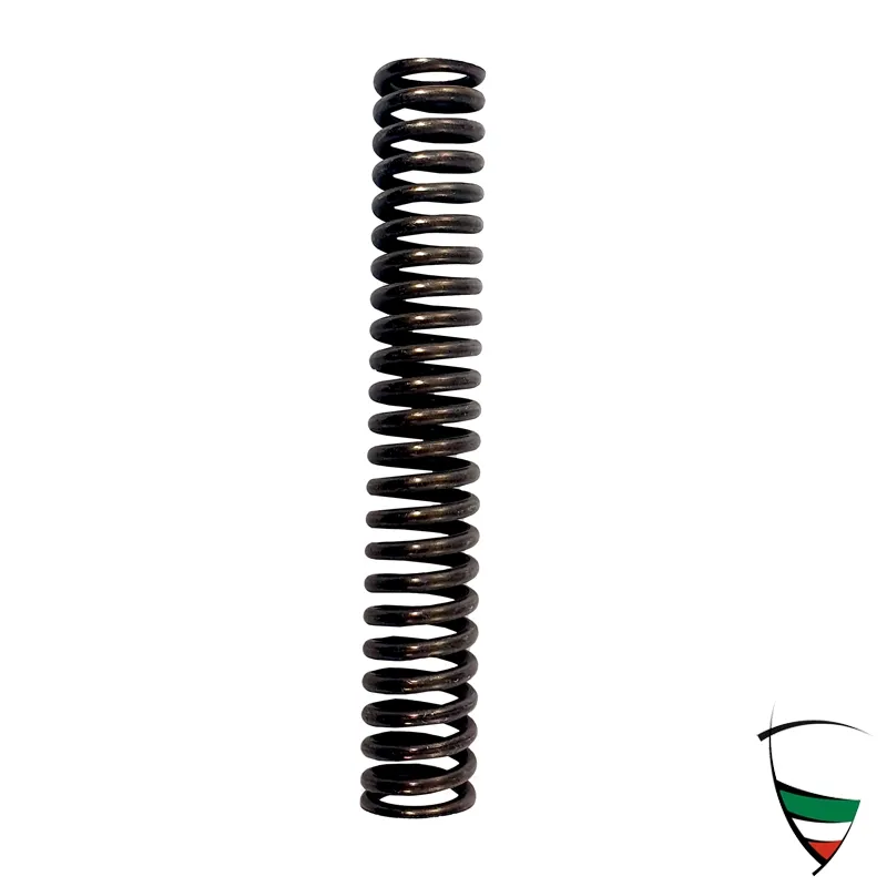 TIMING CHAIN TENSIONER SPRING