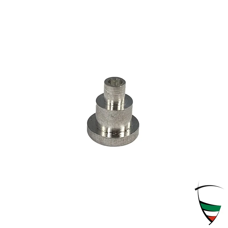 perno cerniera sportello
