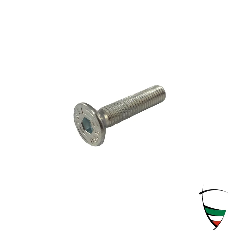 vite per la serratura M 6x30