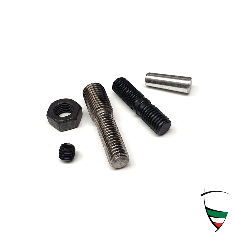 Umrüstsatz Spannrolle V6 hydraulisch auf mechanisch mit Dayco Spannrolle