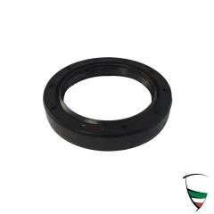 anello paraolio frizione posteriore