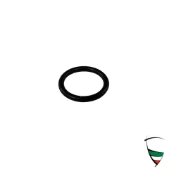 O-RING DISTRIBUTOR SHAFT