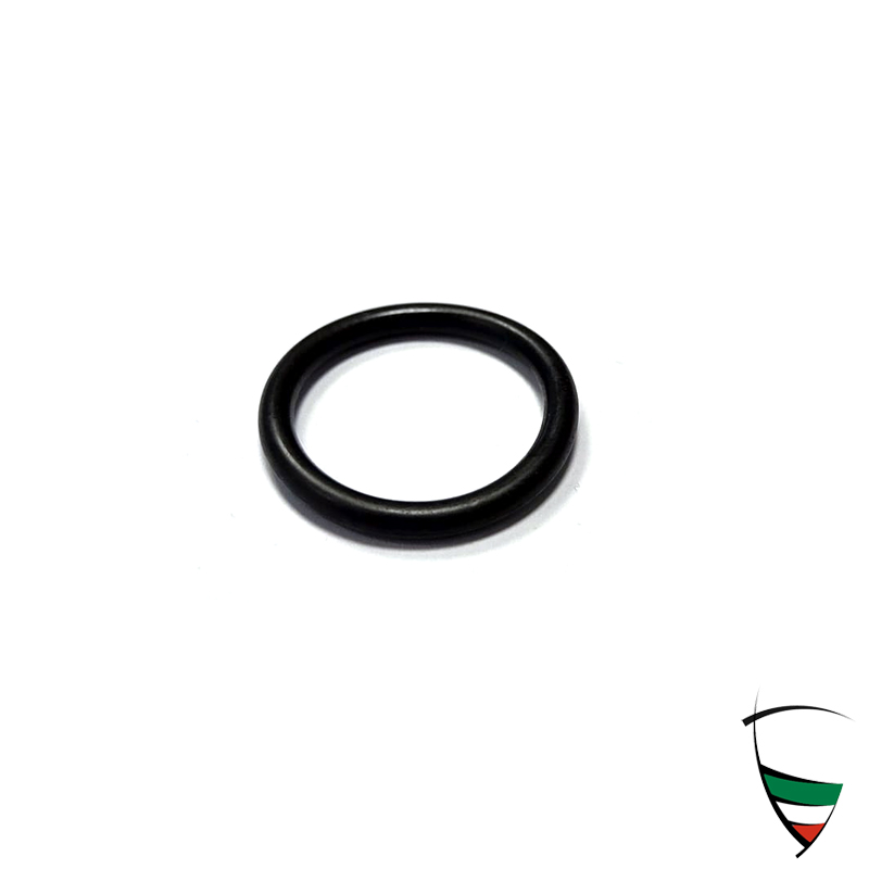 anello di tenuta pompa olio