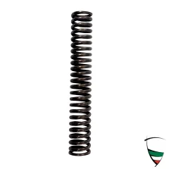 TIMING CHAIN TENSIONER SPRING