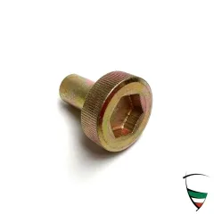 CAM COVER SCREW, YELLOW ZINC COATED FOR ALLEN KEY FOR 2600/101/105