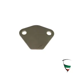 LOCKING PLATE FOR FUEL PUM FLANGE, CONVERSION TO ELECTRIC FUEL PUMP
