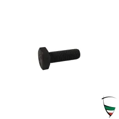 SCREW FOR BRAKE CALIPPER REAR ATE M10X1,25