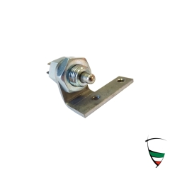 Schalter Rückfahrscheinwerfer alter Typ