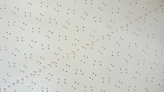 Dachhimmel Giulia creme gelocht