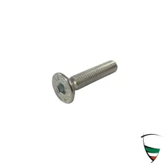 vite per la serratura M 6x30